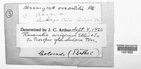 Image Associated With the Occurence